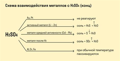 Важность и особенности реакции оксидов металлов с H2SO4