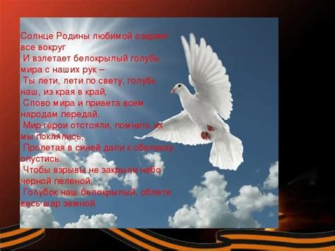 Важность и символическое значение сновидения о голубе, стучащем в окно