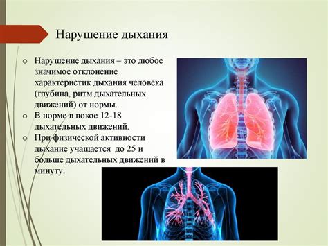 Важность кровообращения и дыхания