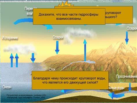 Важность океанов в мировом круговороте воды