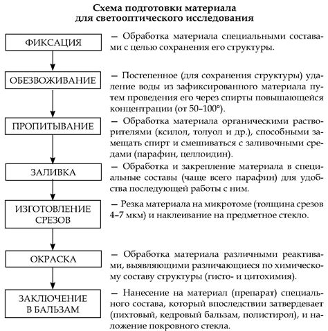 Важность понимания pH для биологических систем