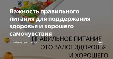 Важность правильного питания для уток