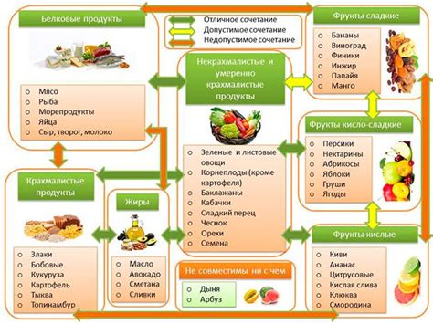 Важность правильного сочетания продуктов питания для растущего котенка