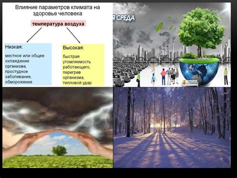 Важность природных водных просторов в жизни человека и их влияние на психологическое состояние