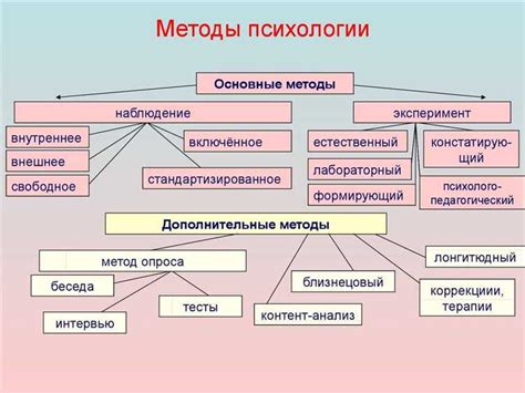 Важность психических процессов для психологии