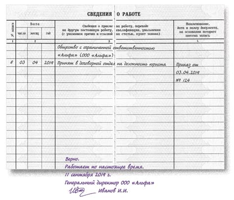 Важность регулярного получения трудовой книжки