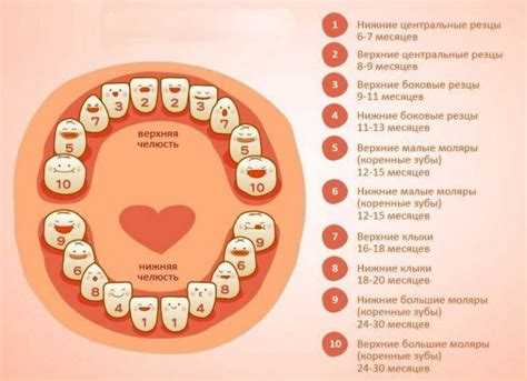 Важные признаки и приметы снов о смене зубов: поверья и традиции