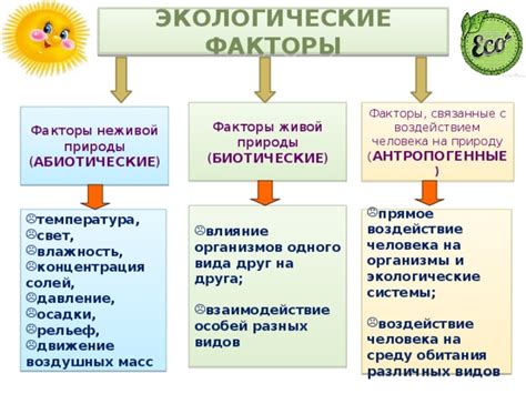 Важные факторы, воздействующие на интерпретацию сновидений