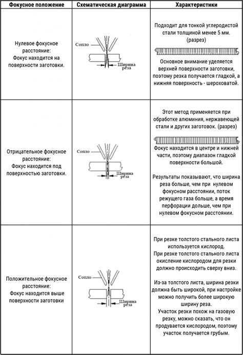 Важные факторы для выбора времени резки винограда