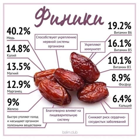 Важные факты о финиках при похудении