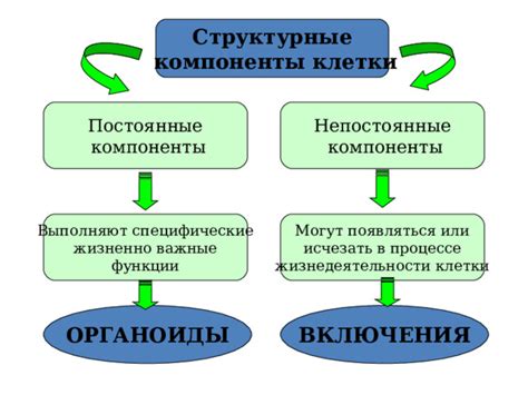 Важные функции Маклюры