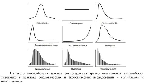 Варианты распределения после учебки в песчанке