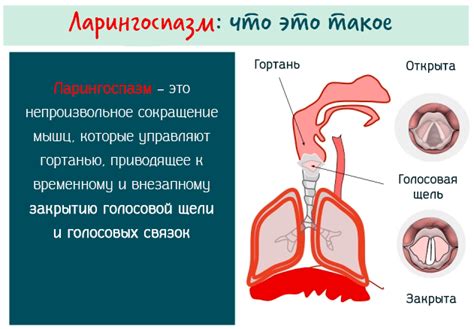 Вариативные факторы, порождающие непроизвольное сокращение губно-челюстного комплекса и пути его устранения