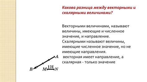 Векторная величина: определение и значение в физике