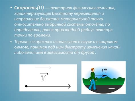 Векторная величина - общая характеристика скорости