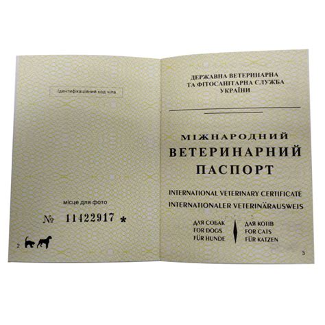 Ветеринарный паспорт для собак: цель и значение