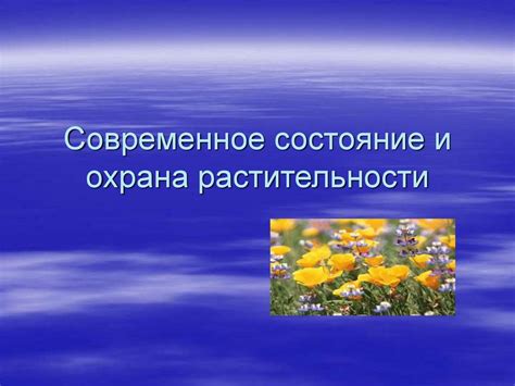 Ветряные двигатели и охрана природы и растительности