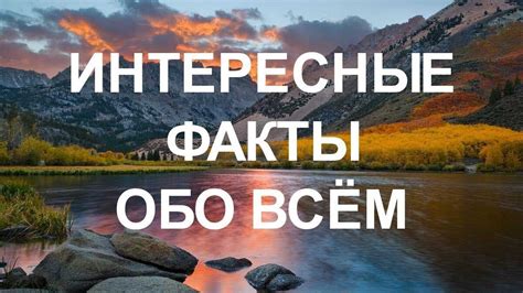 Вещи, которые окружают нас в сновидениях о родительской ласке