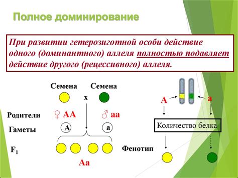 Взаимодействие генов и окружения