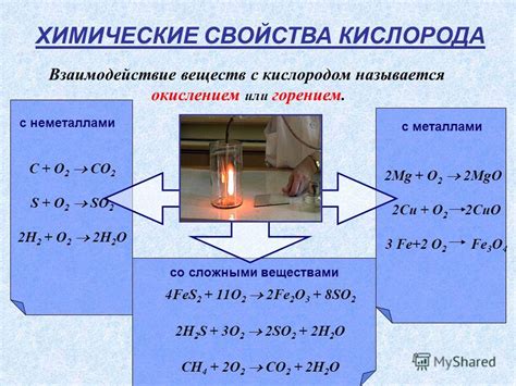 Взаимодействие мясных соков и жира с кислородом