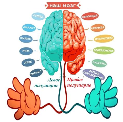 Взаимодействие правого и левого полушарий