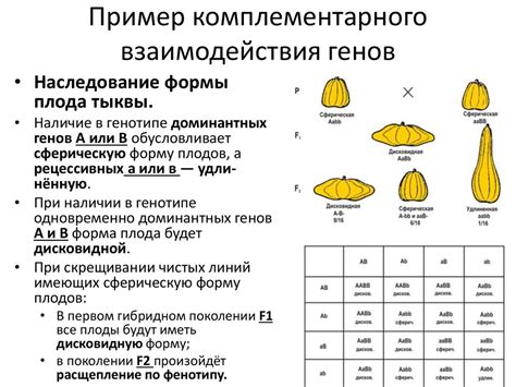 Взаимодействие среды и генетической основы