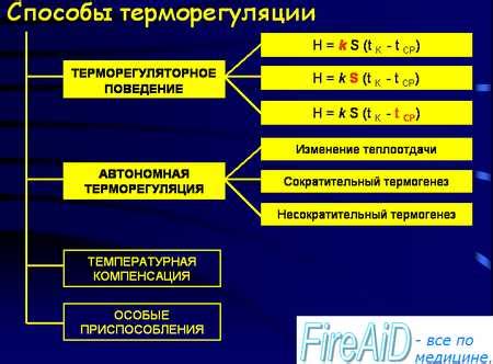 Взаимодействие с другими системами организма