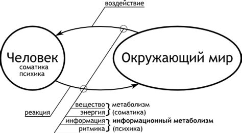 Взаимодействие с трансцендентным миром через сновидения, отражающие присутствие лемуроподобных существ