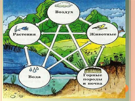 Взаимосвязь между образом воды на полу и эмоциональной сферой женщины