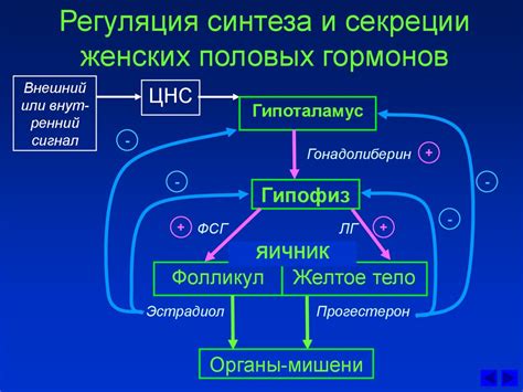 Взаимосвязь половых гормонов и негативных мыслей