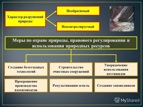 Взаимосвязь природы и человечества в контексте вселенной