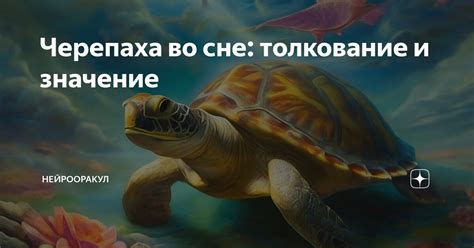 Видеть во сне черепаху – что это значит?