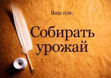 Видеть полный урожай овощей во сне: значение исцеления и изобилия