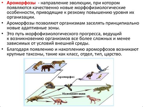 Видовые признаки и эволюционное развитие