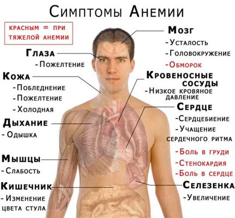 Виды анемии у пожилых людей