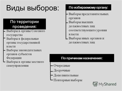 Виды выборов в местные органы власти