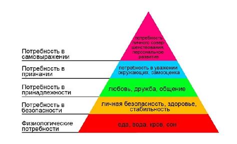 Виды потребностей в сохранении здоровья