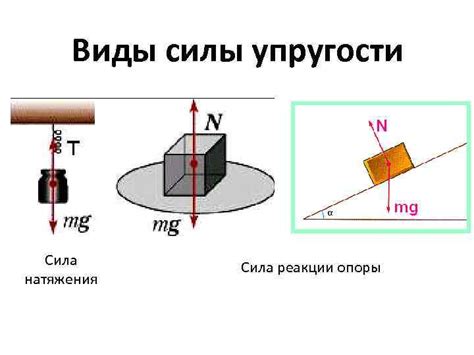 Виды силы упругости