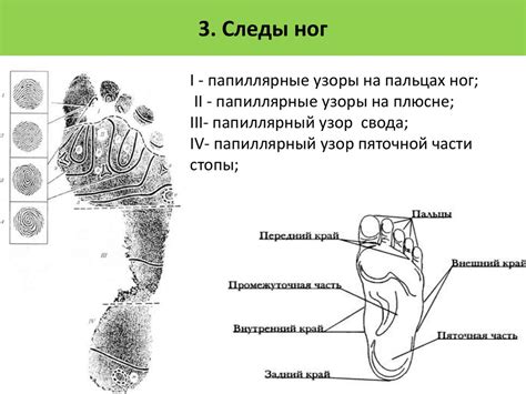 Виды следов от надавливания