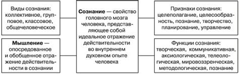 Виды сознания и их особенности