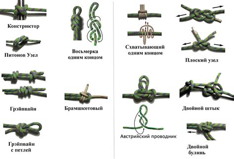 Виды узлов золотая