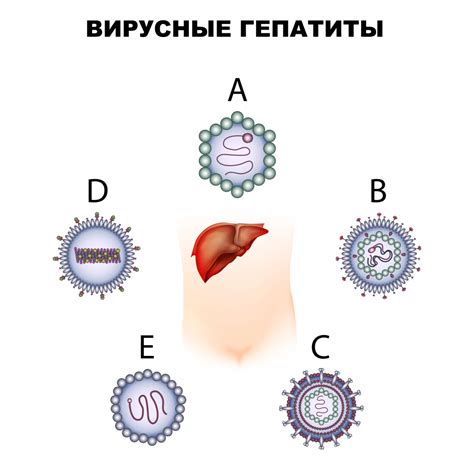 Вирусные инфекции: основные причины появления белых пузырьков