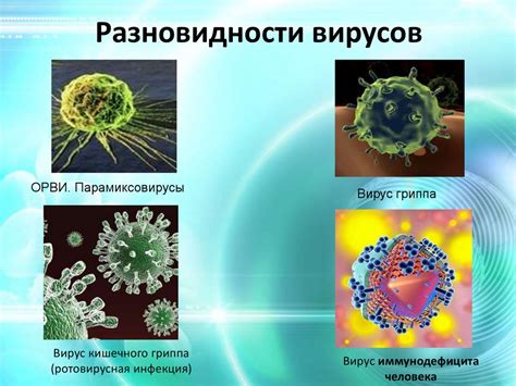 Вирусы и инфекции губы