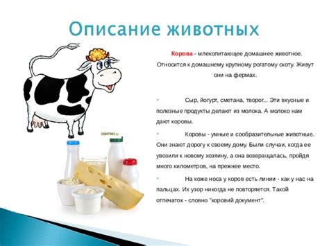 Вкусные и полезные продукты от коров