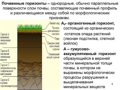 Влажность почвы и роса: связь между ними