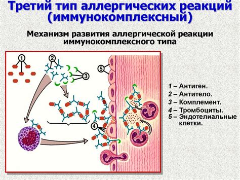 Влияние аллергических реакций на здоровье и поведение малышей