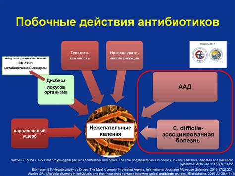 Влияние антибиотиков на микрофлору