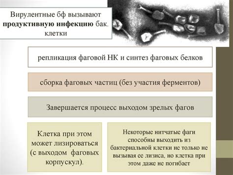 Влияние биологических факторов на отсутствие сновидений