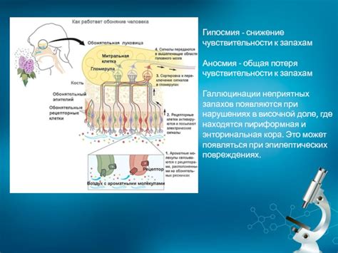 Влияние внешних факторов на снижение чувствительности к запахам