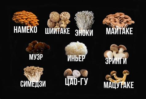 Влияние времени варки на вкус и текстуру грибов